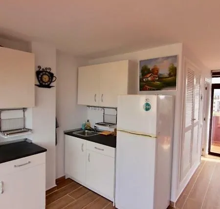 Apartment Atico Duplex En 1a Linea De Mar